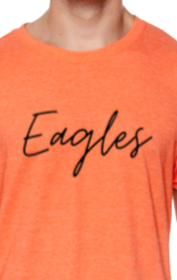 Eagles Cursive black font