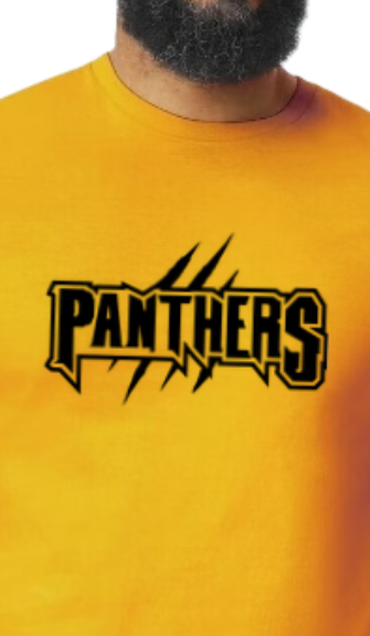 Panthers Slash T shirt