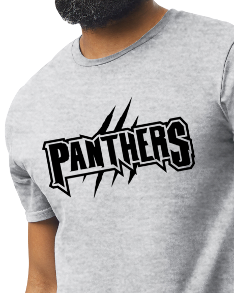Panthers Slash T shirt
