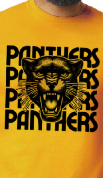 Panthers, Panthers, Panthers, Panthers Retro T shirt
