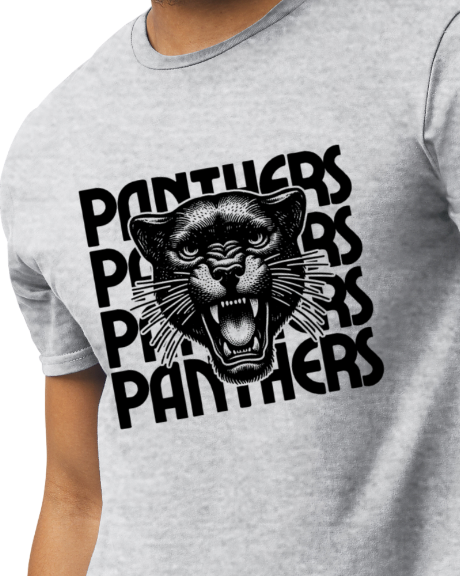 Panthers, Panthers, Panthers, Panthers Retro T shirt